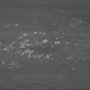 Vision King identifies rolling defects