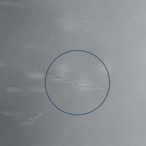 Vision King detecting Roll marks